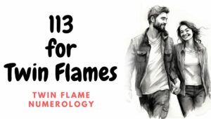 113 for twin flames