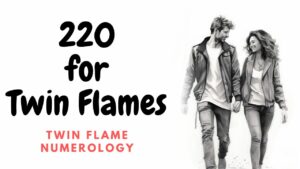 220 for twin flames