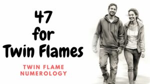 47 for twin flames