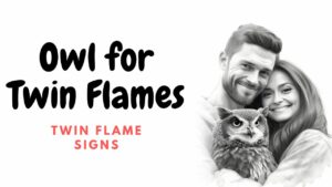 Owl for Twin Flames